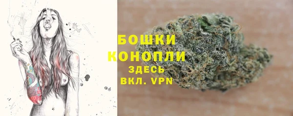винт Каменка