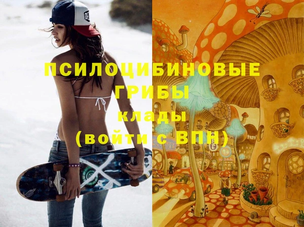 кристаллы Инта