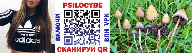 Галлюциногенные грибы Magic Shrooms Купить где Верхняя Тура